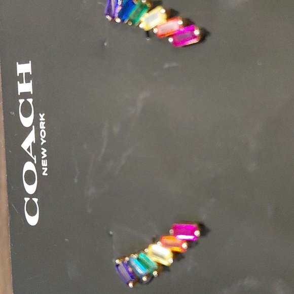 COACH Rainbow Stud Earrings - Picture 4 of 4